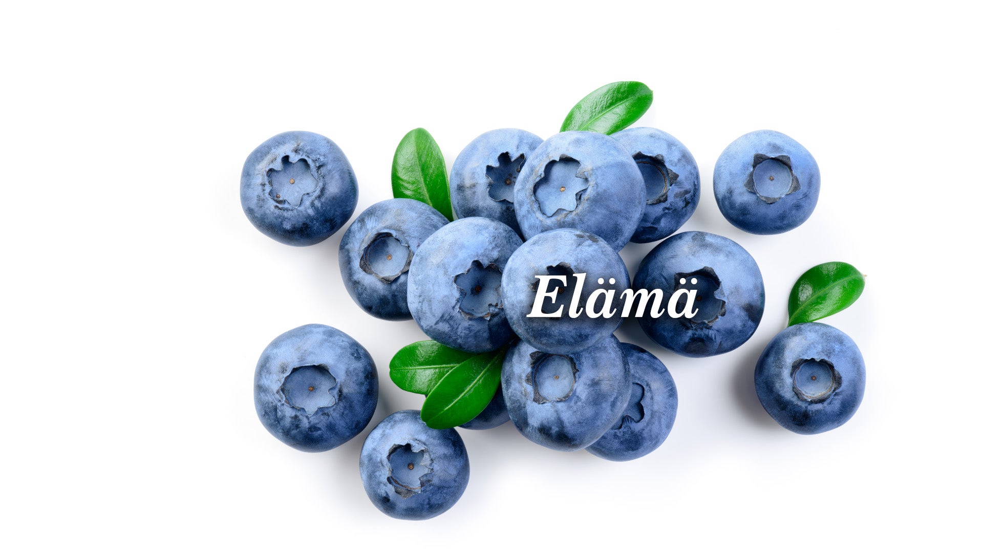 Mustikoita vihreillä lehdillä ja niissä sana "elämä"